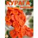 Kuraga honey 500 g dried fruits without bones without sugar