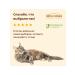 Almo Nature Adult cat food with salmon Salmon Anti Hairball 2kg - Buy Online on GoSupps.com