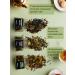 BigBottle Tea gift set in jars 6 pcs - Buy Online on GoSupps.com