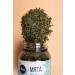Floris Mint for large -leaf tea in a bank 40 g - Buy Online on GoSupps.com