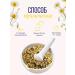 Floris Daisy dried tea flowers 40 g - Buy Online on GoSupps.com