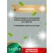 sadoer Tonal base again for facial makeup natural 2 pcs - Buy Online on GoSupps.com