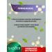 Cream for the neck and neckline of the Sadoer with a collagen 2 pcs - Buy Online on GoSupps.com