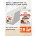 ROYAL CANIN Wet food for elderly cats 12+ years jelly 85 g 28 pcs
