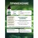 Immunodrink Chlorophyll liquid food natural 200 ml - Buy Online on GoSupps.com