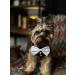 EasyMarkus Gentlemen collar elegant for dogs and cats red - Buy Online on GoSupps.com