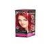 Hair dye (Studio) Ton 6.5-Rubin-Red-6pcs - Buy Online on GoSupps.com