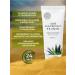 Jigott Sunscreen BB face cream with Aloe SPF41 PA ++ 50ml - Buy Online on GoSupps.com