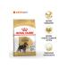 ROYAL CANIN Miniature schnauzer feed for dogs Schneuszer from 10 months 7.5kg