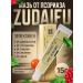 4HEALTH 1 pc. Chinese ointment from psoriasis Zudaifu