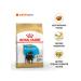 ROYAL CANIN Feed for Rottweiler's puppies from 2 months. Rottweiler Puppy 12 kg