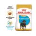 ROYAL CANIN Feed for Rottweiler's puppies from 2 months. Rottweiler Puppy 12 kg - Buy Online on GoSupps.com