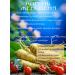 100% Korean cosmetics Korean anesthetic patch Korean Glu Red Ginseng - Buy Online on GoSupps.com
