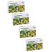 RENEWAL Senna Renoved 30 Tab weighing 180 mg- 4UP - Buy Online on GoSupps.com