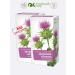 Altai cedar Fitochi Altai 8 "Healthy liver" 20 f p 2UP