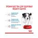 ROYAL CANIN Dry Mini Puppy food for small puppies 2-10 months 4 kg - Buy Online on GoSupps.com