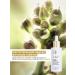 Yves Rocher Facial serum for youth skin - Buy Online on GoSupps.com