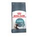 ROYAL CANIN Hairball hair lumps food for cats from hair lumps. - Buy Online on GoSupps.com
