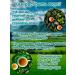 Secrets of the Caucasus Herbal tea "for the liver" 70 g - Buy Online on GoSupps.com