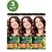 Garnier 5.25 Color Naturals hair dye persistent 3 pcs