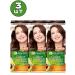 Garnier 5.25 Color Naturals hair dye persistent 3 pcs - Buy Online on GoSupps.com