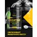 BIOVIN Creatine monohydrate in powder Creatine monohydrate 150 grams - Buy Online on GoSupps.com