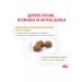 ROYAL CANIN Cat food for urolithiasis Urinary S o 3.5kg - Buy Online on GoSupps.com