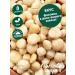 Nut brand Macadamia nuts peeled large - Buy Online on GoSupps.com