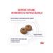 ROYAL CANIN Feed for castrated dogs of small rocks Neutered 3.5kg - Buy Online on GoSupps.com