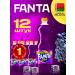 Fanta Fwillie grapes 12 pcs. 1 l