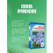Chicory grass 50 g (Horst) - Buy Online on GoSupps.com