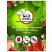 Smart Fruits Smart Fruts D3 Smart loaf of chewing 30 pcs - Buy Online on GoSupps.com