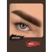 AS COMPANY BY ALINA SHAKHOVA As Dark Brown Shahova Pigment Hybride for Eyebrow 6ml - Buy Online on GoSupps.com