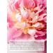 mi&ko Hydrophilic face oil to cleanse the pores miko - Buy Online on GoSupps.com