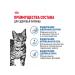 ROYAL CANIN Wet feed indoor sterilized 7+ for cats jelly 85 g 10 pcs - Buy Online on GoSupps.com
