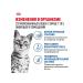 ROYAL CANIN Wet feed indoor sterilized 7+ for cats jelly 85 g 10 pcs - Buy Online on GoSupps.com