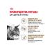 ROYAL CANIN Wet food for elderly cats 12+ years in sauce 85 g 5 pcs - Buy Online on GoSupps.com