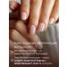 MILV Oil for cuticle and nails strengthens with macaroni shimmer - Buy Online on GoSupps.com