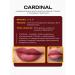 AP GROUP NYSE Cardinal Pigment for permanent makeup of the lips N.Y.S.E - Buy Online on GoSupps.com