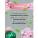 Eye cream Sadoer with collagen and sakura 20g 2 pcs - Buy Online on GoSupps.com