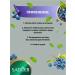 sadoer A set of facial cosmetics with antioxidants - Buy Online on GoSupps.com