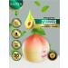 Hand cream Sadoer with a peach 35 g
