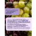 PROTEINCOMPANY Grape bone extract in capsules 60 kap - Buy Online on GoSupps.com