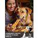 FOR RODENT DOG Dog delicities horse leather (tube) 30 cm 1000 g - Buy Online on GoSupps.com