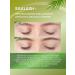 SILKLASH Serum for eyelashes and eyebrow force - Buy Online on GoSupps.com