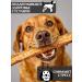 FOR RODENT DOG Dog delicacies bull root in the context 30 cm 1000 g - Buy Online on GoSupps.com
