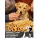 FOR RODENT DOG Dog delicities lamb skin (tube) 10 cm 100 g - Buy Online on GoSupps.com