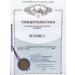 CHEBRIK Millet flakes that do not require cooking - Buy Online on GoSupps.com