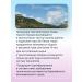 Nettle dry extract 360 mg - Buy Online on GoSupps.com