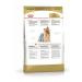ROYAL CANIN Dry food for dogs Yorkshire Terrier Adult 1.5 kg - Buy Online on GoSupps.com